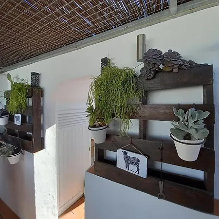 Сasa de vacaciones Casa El Molino